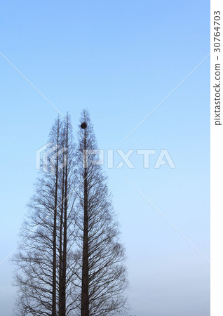 慶尚，慶州，京都 30764703