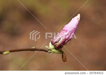 Slaughterhouse Slaughterhouse 30764932