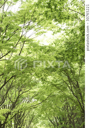 中國富川中央公園,富川市富川市 中國富川中央公園,富川市富川市 30765221