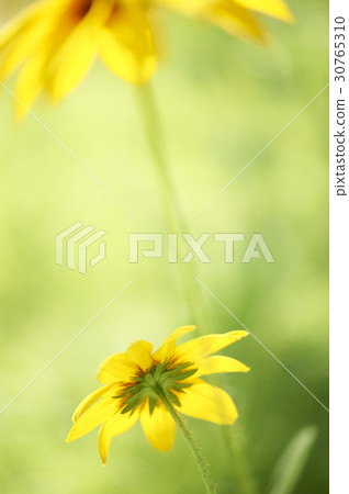 Ludvika Ludvika 30765310