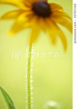 Ludvika Ludvika 30765388