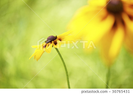 Ludvika Ludvika 30765431