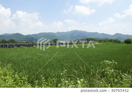 Paju City, Gyeonggi-do 30765432