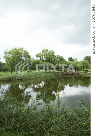 Yongsan Family Park, Yongsan-gu, Seoul 30765640