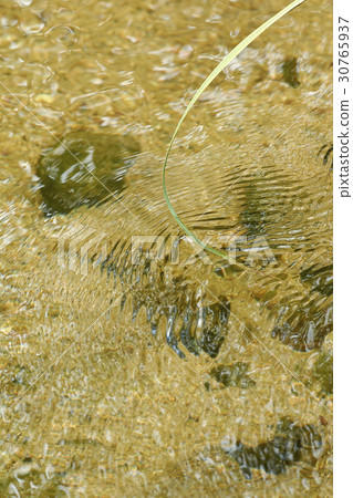 京畿道京畿道 30765937