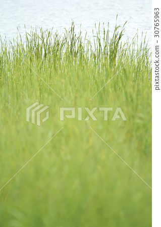 京畿道富川市無公園桑東湖公園 30765963