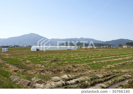 Vinyl house, Cheolwon-gun, Gangwon-do Vinyl house, Cheolwon-gun, Gangwon-do 30766180