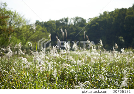 Incheon Grand Park, Namdong-gu, Incheon 30766181