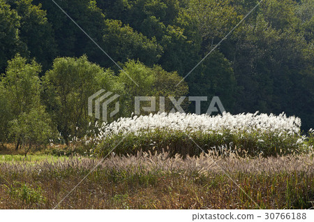 Incheon Grand Park, Namdong-gu, Incheon Incheon Grand Park, Namdong-gu, Incheon 30766188