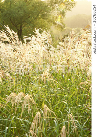 Incheon Grand Park, Namdong-gu, Incheon 30766254