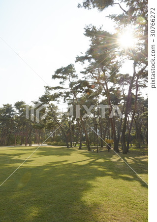 Seoul, Namseongju, Gyeonggi-do 30766272