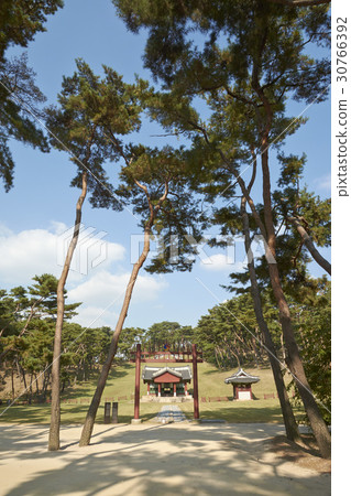 松樹,紅十字門,布裙(歷史遺址No. 209),南京州市,京畿道 松樹,紅十字門,布裙(歷史遺址No. 209),南京州市,京畿道 30766392