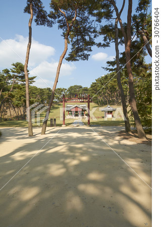 松樹,紅十字門,布裙(歷史遺址No. 209),南京州市,京畿道 松樹,紅十字門,布裙(歷史遺址No. 209),南京州市,京畿道 30766404