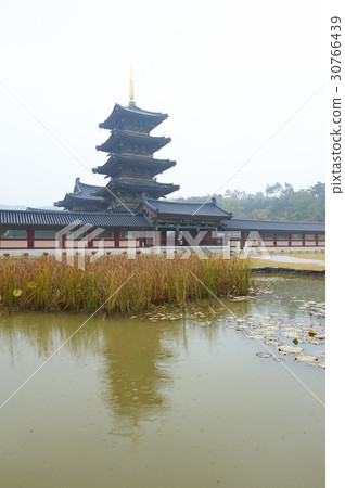 在忠南,扶餘,百濟文化大廈,大手門,大手門 在忠南,扶餘,百濟文化大廈,大手門,大手門 30766439