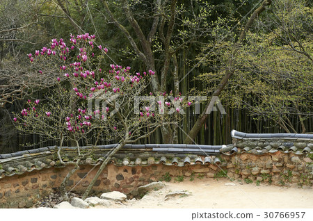 全南道達陽郡Soswonwon 全南道達陽郡Soswonwon 30766957