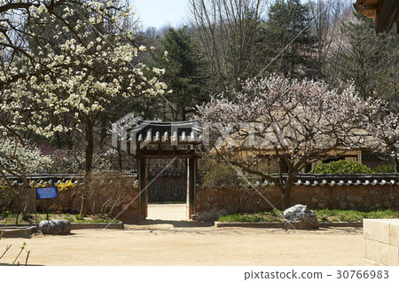 Yongin Folk Village, Yongin-si, Gyeonggi-do 30766983