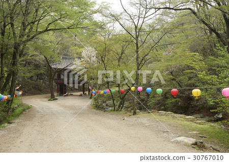 Yeonam Temple (Historic Site No. 507), Chogye Mountain, Suncheon City, Jeonnam 30767010