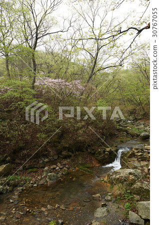 Jogye Mountain, Suncheon City, Jeonnam Jogye Mountain, Suncheon City, Jeonnam 30767055