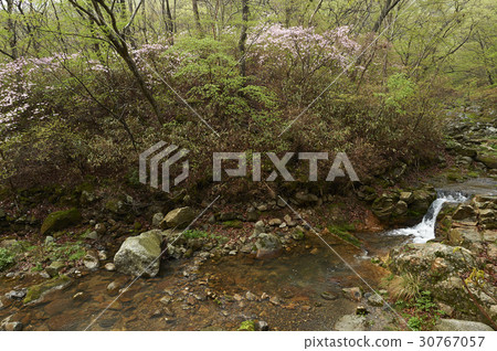 Jogye Mountain, Suncheon City, Jeonnam 30767057