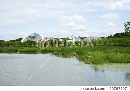 生態，國立生態公園，舒川郡，忠南 30767297