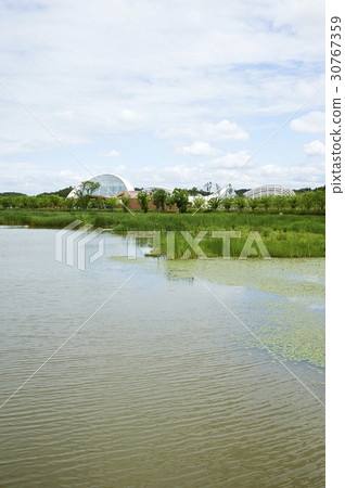 Ecology, National Ecology Park, Seocheon-gun, Chungnam Ecology, National Ecology Park, Seocheon-gun, Chungnam 30767359