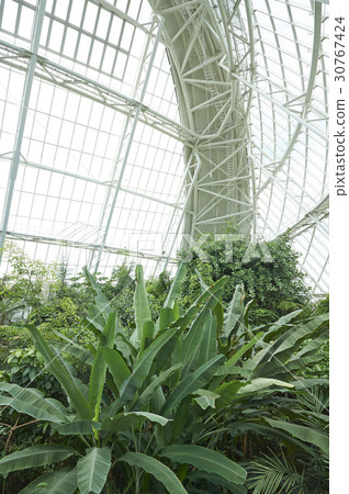 Ecology, National Ecology Park, Seocheon-gun, Chungnam Ecology, National Ecology Park, Seocheon-gun, Chungnam 30767424