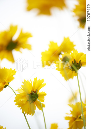 Geumgyeguk Geumgyeguk 30767479