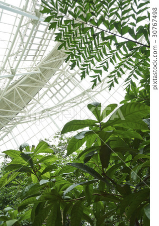 Ecology, National Ecology Park, Seocheon-gun, Chungnam 30767498