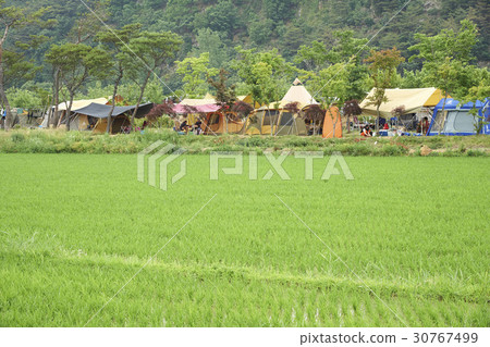 Mo, tent, camping, Yecheon, Gyeongbuk 30767499