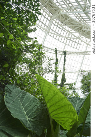 Ecology, National Ecology Park, Seocheon-gun, Chungnam 30767531