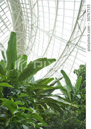 Ecology, National Ecology Park, Seocheon-gun, Chungnam 30767535