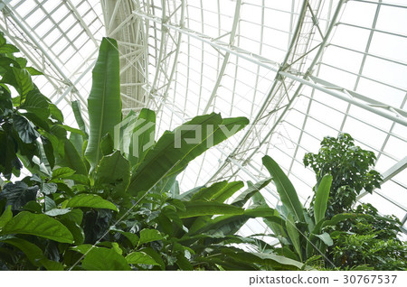 Ecology, National Ecology Park, Seocheon-gun, Chungnam Ecology, National Ecology Park, Seocheon-gun, Chungnam 30767537