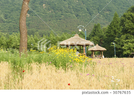 Incheon Grand Park, Namdong-gu, Incheon 30767635