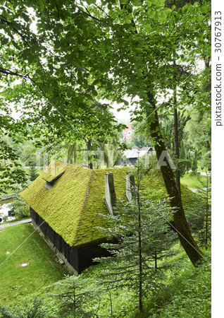 Bran, Brasov, Romania 30767913