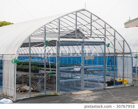 乙烯基的房子 30767958