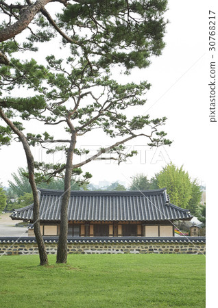 Pine trees, Kim Dae-geon bride's birthplace, Solmung sanctuary, Dangjin city, Chungnam 30768217
