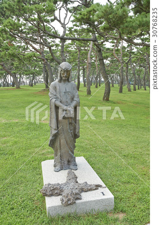 Pine Tree, Solmoe Castle, Dangjin City, Chungnam 30768235