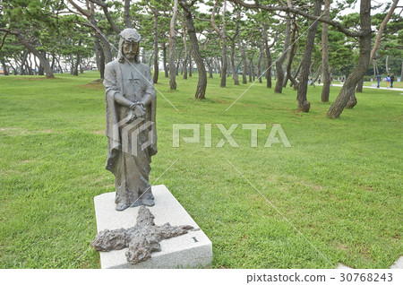 Pine Tree, Solmoe Castle, Dangjin City, Chungnam 30768243