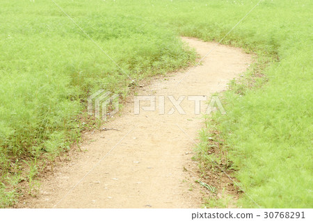 中東，Wonmi-gu，Bucheon，Gyeonggi-do 30768291