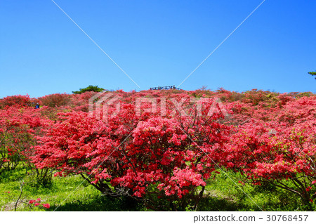 Azalea Takashiyama（田町市，小野町） 30768457