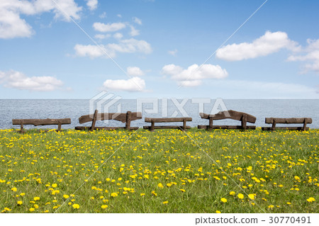 Wooden benches at the sea shore Wooden benches at the sea shore 30770491