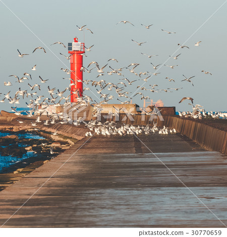 Seagulls against lighthouse Seagulls against lighthouse 30770659