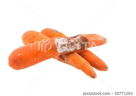 Rotten carrot isolated on white background 30771263