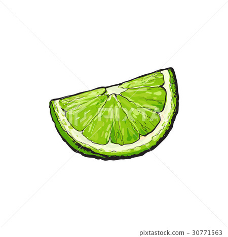 Quarter, segment, piece of ripe green lime 30771563