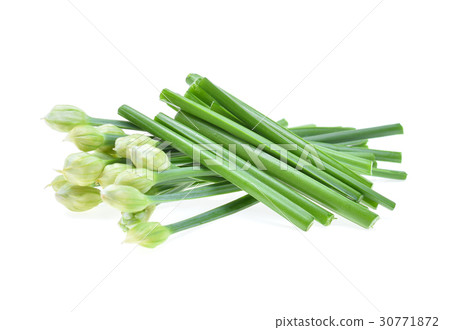Chinese chives isolated on white background 30771872