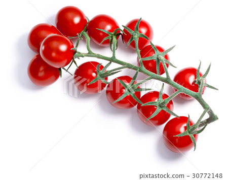 Cherry tomatoes on vine, paths Cherry tomatoes on vine, paths 30772148