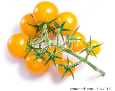 Cherry tomatoes on vine, paths Cherry tomatoes on vine, paths 30772149