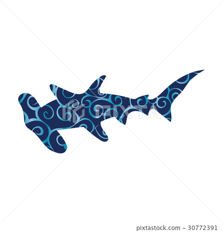 Shark hammerhead predator nautical color Shark hammerhead predator nautical color 30772391