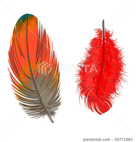 Two hand drawn smoth orange and yellow tropical 30772865