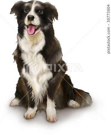 科里的照片 科里的照片 30773804